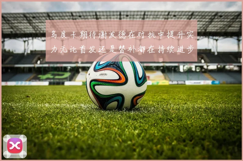 乌度卡期待谢泼德在对抗中提升实力无论首发还是替补都在持续进步
